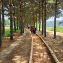 덕산온천 뉴스티앤티