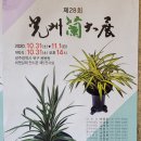 김영신의원 이미지