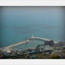 불야성조개구이 이미지