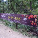 대관령도서관 이미지