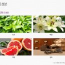 애니브리즈 이미지