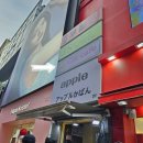 스카이캣명동2호점 | 서울 명동 아이랑 가기 좋은 이색 고양이카페 [스카이캣카페 명동 2호점]