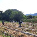 특수임무유공자회 이미지