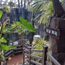 거제식물원 이미지