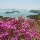 4월6(일)완도군 약산면 조약도 삼문산-장룡산-등거산 진달래암릉산행 이미지