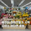 (봄맞이) 홈가드닝 | 봄맞이 홈가드닝 시작 다이소에서 씨앗·화분 다 해결한 후기