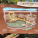 도시숲 산책길 이미지