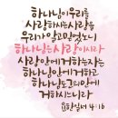 대한민국꽃배달