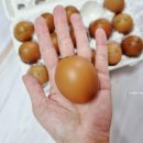 농업회사법인 (주)행복한농장 이미지