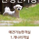 풀빛펜션 이미지