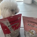 도그비잉 펫케어 | [강아지 구강관리 루틴] 말티푸 봉자의 플라크·치석 관리, 도그시그널 덴탈 베이직 급여 후기