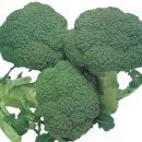 관절과 갑상선에 좋은식품 이미지