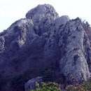 [토요산행]4월8일 선운산336m-경수산444m/울창한 수림/갖가지 비경/매화,동백꽃 이미지