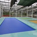 신 하나농장 이미지