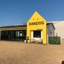 단독 dandog 이미지