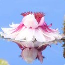 위강원한의원 이미지