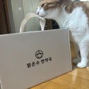 공한약국 이미지