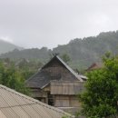 보이명차 Daum카페