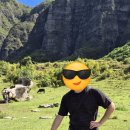 동한목장 네이버블로그
