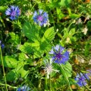 성동1리 마을회관 이미지