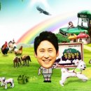 도그동물농장 이미지