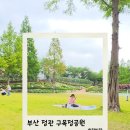 달피크닉 | 정관 구목정공원 주말 피크닉 후기｜아이들이 뛰어놀기 좋은 잔디공원