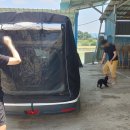 가야한우농장 이미지