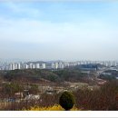 오산 독산성에서 2021.03.26 이미지