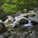 맑은계곡 이미지