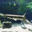 리버퀘스트 이미지