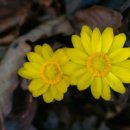 찬물내기 이미지