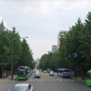 시영약국 이미지