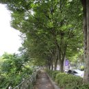 완산-169 이미지