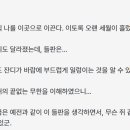 레인월드 dlc: watcher 엔딩 1 감상