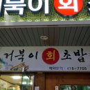 거북이회초밥 이미지