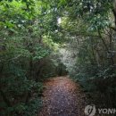 동산민박 이미지