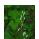 와룡자연휴양림 이미지