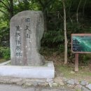 양기운 이미지