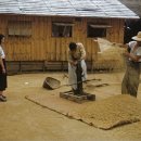 수원-1953 이미지