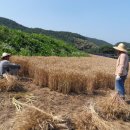 참살이농원 이미지