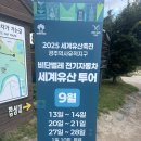 동문로 99 | 카페 ,첨성대, 경주성동시장 맛투어(천북양념통닭, 보배김밥, 유성찹쌀순대, 태산식육백화점) 솔직후기