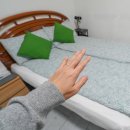 비치민박 | 이탈리아여행 로마숙소 로마한인민박 까사미아 후기