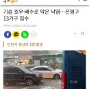 기습 호우·배수로 막은 낙엽…은평구 13가구 침수 이미지