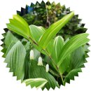 구립직업재활센터 | 존경의 마음, 신천지자원봉사단 강서지부 구립강서직업재활센터 방문