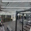 바디다짐 이미지