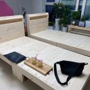 일취월장 Daum카페