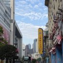 빡스티 | 상하이 3박4일 여행 2일차 : 산동잡곡전병 지엔빙, 상해 디즈니랜드, 주토피아, 트론, 아마수작, 도원향...