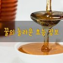 🌹꿀의 놀라운 효능 정보🌹 이미지