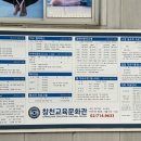 창천 | 마포 신촌 창천교육문화관 수영장 주말 수린이 자유수영 후기