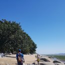 갯벌보러가는길 이미지